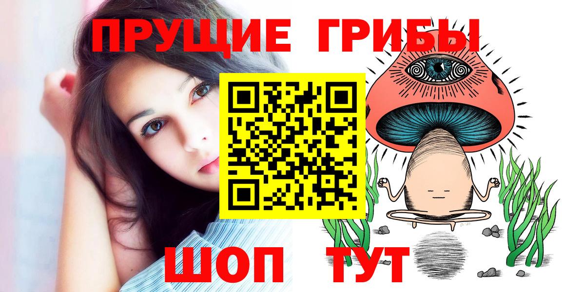 Сердобск  цены наркотик  Галлюциногенные грибы мицелий  Вход с VPN  Псилоцибиновые грибы Psilocybine cubensis 