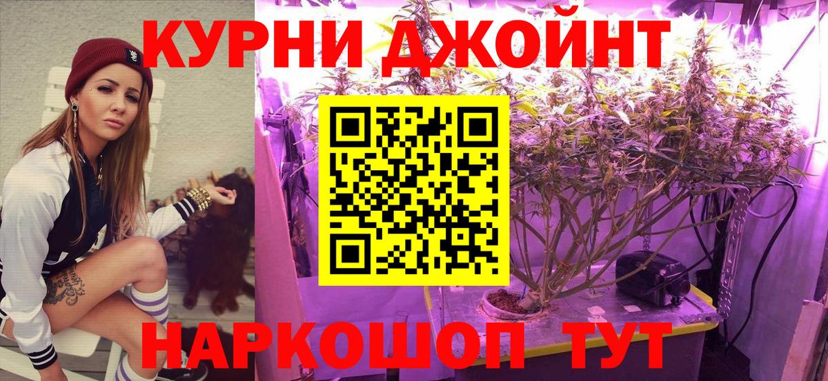 Конопля Amnesia  Вход с VPN  Сердобск  Конопля марихуана  Каннабис индика  Бошки марихуана марихуана 